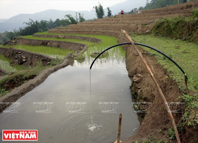 Des Mông amènent l’eau vers les rizières en terrasses à A Lù.