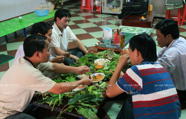 Salade avec plus de 60 types de feuilles différentes. 