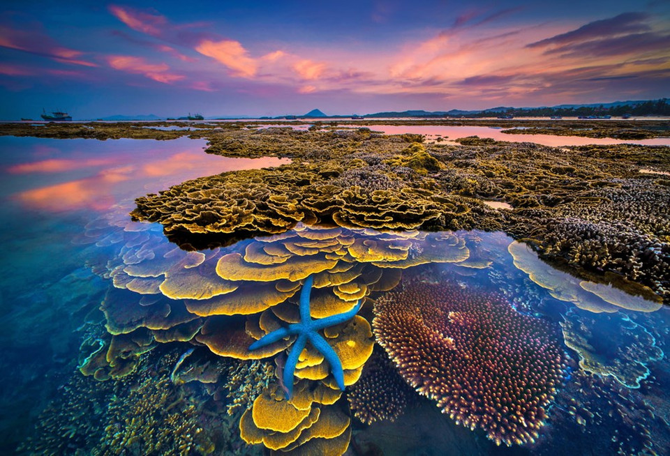 Le cliché « Couleurs de la mer » du photographe Tran Bao Hoa gagne le 1er prix.