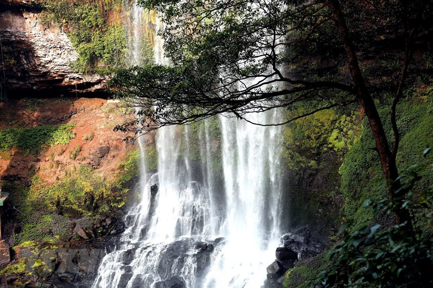 La cascade de Dambri est située dans la Zone d’Eco-tourisme de Dambri, qui couvre près de 1.000 ha. Photo : VNA