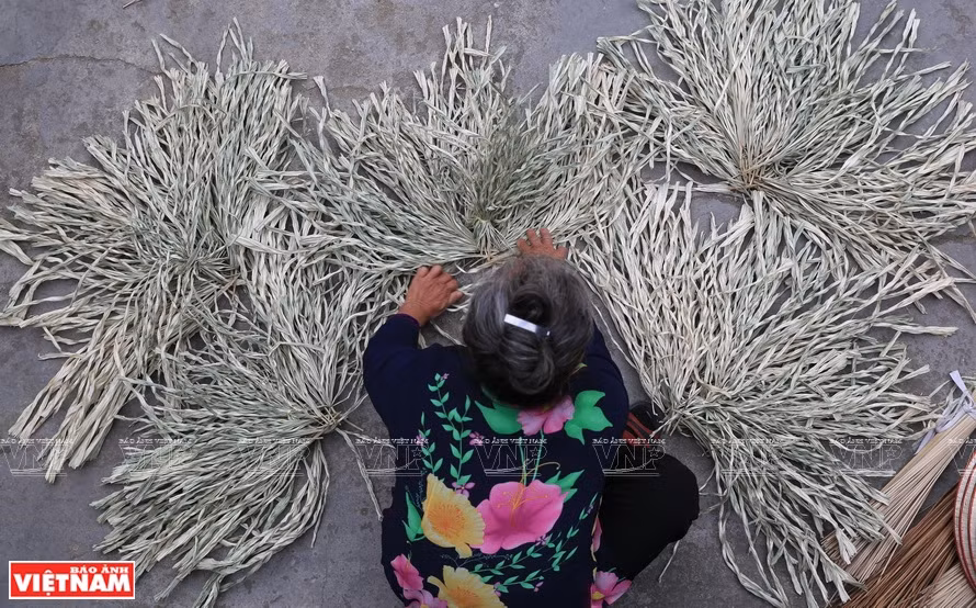 Pour fabriquer un beau chapeau conique, il faut d’abord bien sélectionner les feuilles de roseau, les tremper dans l’étang du village pendant un mois et les faire sécher au soleil. Photo : VNP 