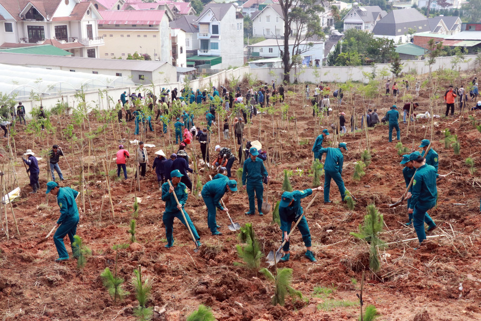 Des soldats et des jeunes de la ville de Da Lat plantent des pins et cerisiers lors de la cérémonie de lancement du programme de plantation d'arbres en 2020. Photo : VNA