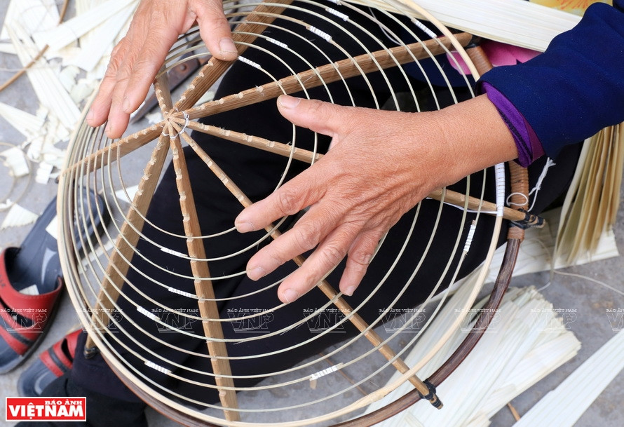 Les arceaux sont en bambou. Photo : VNP