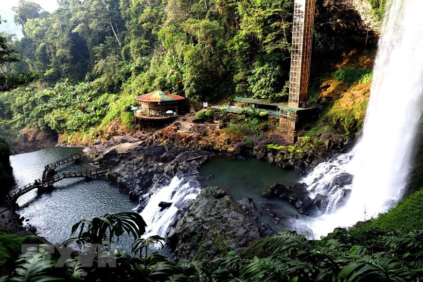 La cascade de Dambri est entourée par de nombreuses variétés d'arbres rares. Photo : VNA