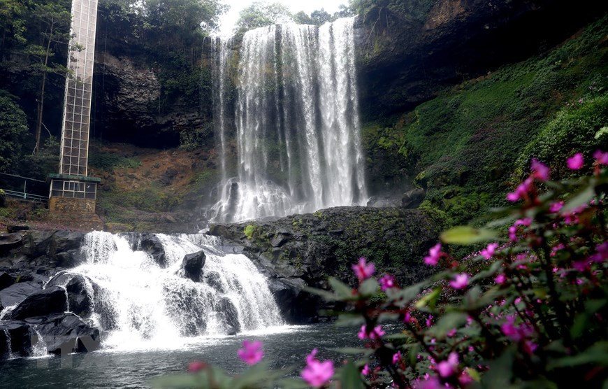 Pour atteindre le pied de la cascade, les touristes peuvent emprunter un sentier sous les feuillages épais des vieux arbres ou prendre un "'ascenseur" qui les amènera à une hauteur de 60m d'où ils auront une vue panoramique sur la cascade. Ils pourront profiter d'un paysage spectaculaire formé par la chute d'eau et les tapis de fleurs sauvages jaunes et violettes. Photo : VNA