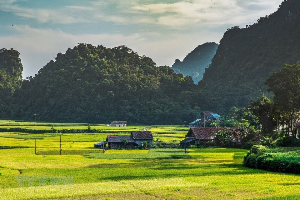 Situé dans six districts au nord et à l’est de la province de Cao Bang, au nord-est du Viet Nam, ce géoparc mondial Unesco de Cao Bang s’étend sur une superficie totale de 3.000 km2 dans six districts de la province. 