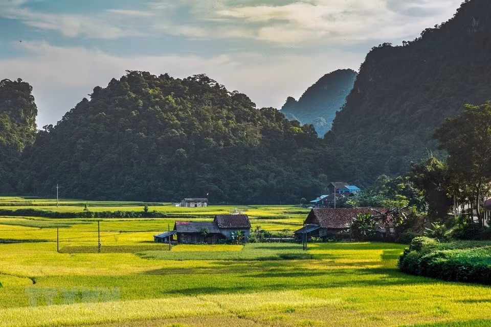 Situé dans six districts au nord et à l’est de la province de Cao Bang, au nord-est du Viet Nam, ce géoparc mondial Unesco de Cao Bang s’étend sur une superficie totale de 3.000 km2 dans six districts de la province. 