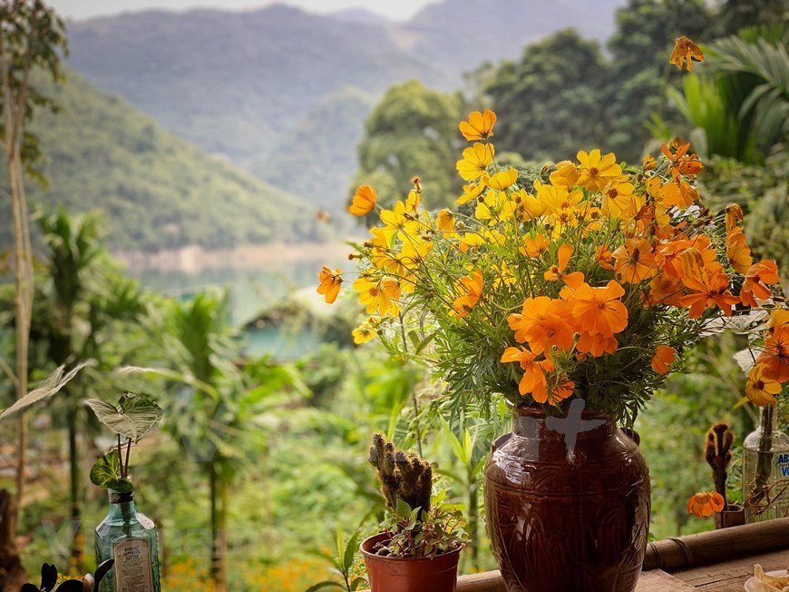 Pour exploiter efficacement les potentiels touristiques de la rivière Da, les comités populaires et les services de la Culture, des Sports et du Tourisme des provinces de Hoà Binh, Son La, Diên Biên et Lai Châu se sont coordonnés à la fin de l'année 2017 pour éviter le gaspillage de temps et de moyen à propos de ce chantier. Pour ce faire, chaque province a étudié l'état et le potentiel des sites touristiques présents sur son territoire et le long de la rivière en répertoriant les données suivantes : les infrastructures, les identités culturelles, les paysages attractifs, les produits touristiques typiques, l’assainissement environnemental…Photo: Vietnamplus