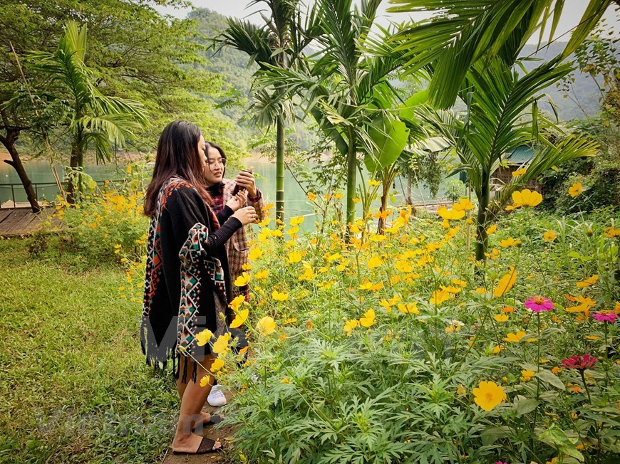 Outre des sites de tourisme communautaire, la province de Hoa Binh abrite également trois lieux d'hébergement touristique de luxe de 3 à 4 étoiles: Ba Khan Village Resort, Maichau HideAway, Mai Chau Mountain View Resort, Serena Kim Boi Resort... Le Premier ministre a récemment approuvé le plan de construction de la zone touristique nationale du lac Hoà Binh, dans la province de Hoà Binh, d’ici 2035. L'objectif est de concrétiser la planification globale de la zone touristique nationale du lac Hoà Binh d'ici 2030, pour faire de ce lac une destination touristique attrayante avec des produits caractéristiques associés à la culture de l’ethnie Muong et aux écosystèmes lacustres. Photo: Vietnamplus