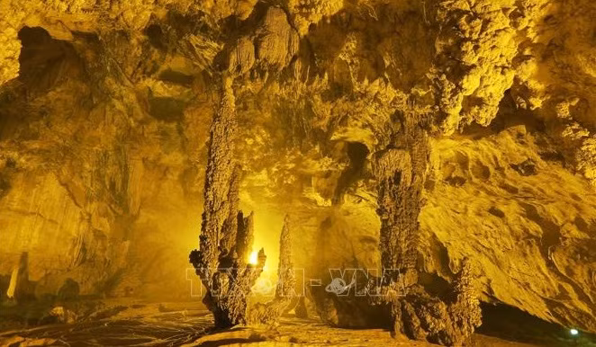 Les chercheurs ont déclaré que cette grotte calcaire contient de nombreux fossiles de coraux et de crinoïdes. Elle faisait partie d'une ancienne mer qui existait il y a environ 400 millions d'années. Photo: VNA