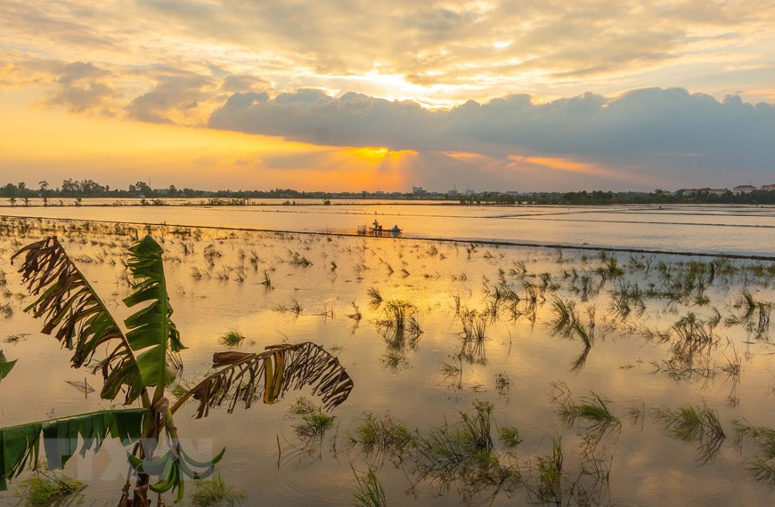 Hau Giang est l'une des localités du delta du Mékong touchées par les inondations d'août à décembre. Photo: VNA