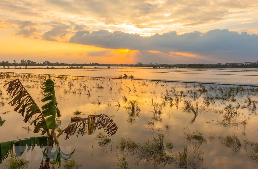 Hau Giang est l'une des localités du delta du Mékong touchées par les inondations d'août à décembre. Photo: VNA