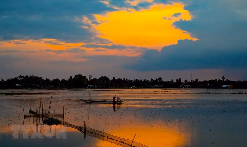 Beauté d'une rizière au coucher du soleil. Photo: VNA