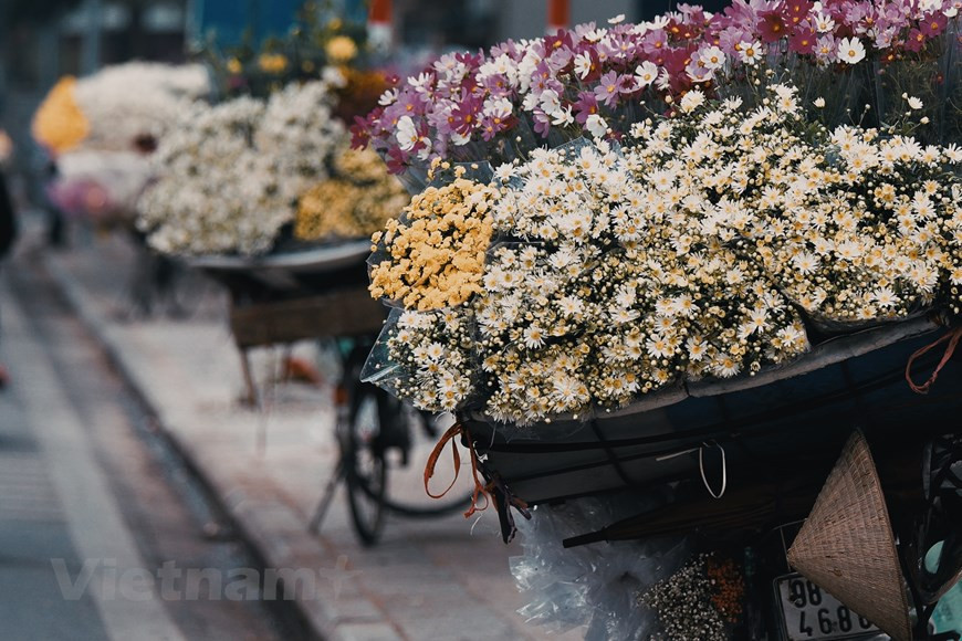 En parlant de l'hiver à Hanoï, les gens pensent immédiatement aux fleurs de marguerite blanches. Les longues files de vélos débordant de marguerites d'un blanc pur attirent l'attention des gens. Photo: VietnamPlus