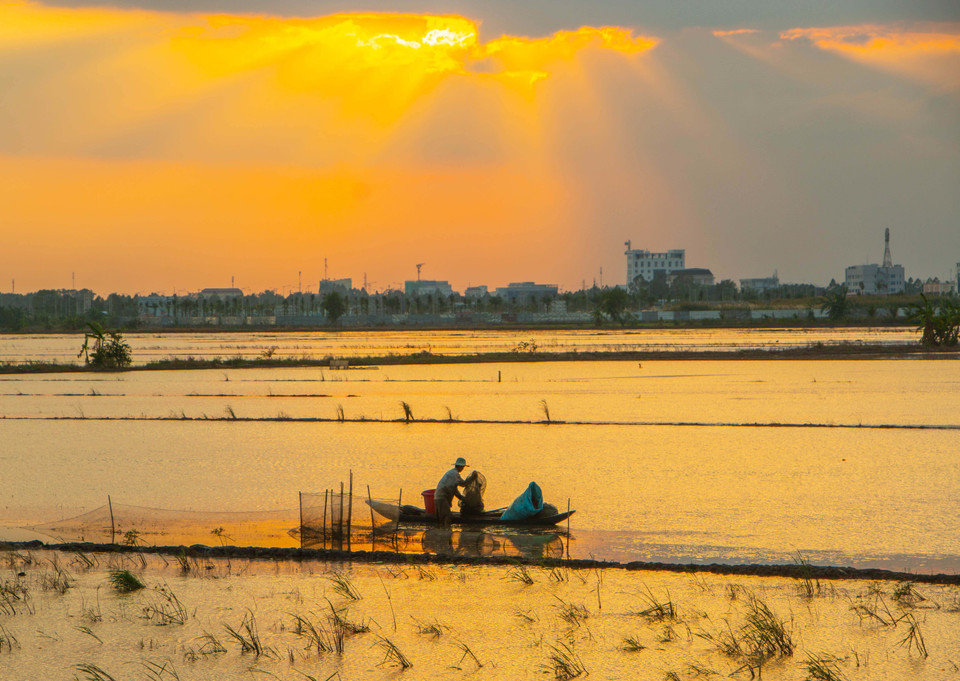 Pendant la saison des crues, des habitants de la province de Hau Giang pêchent dans les rizières remplies d'eau. Photo: VNA