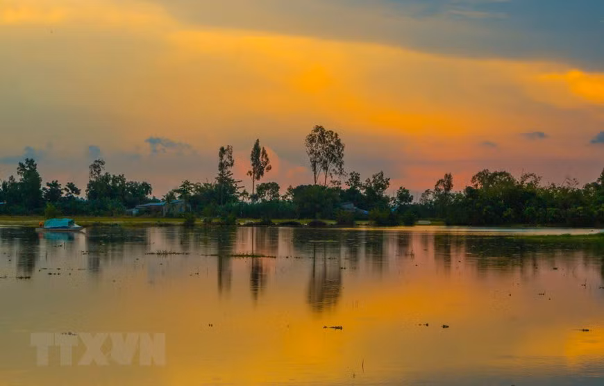 Une rizière inondée à Hau Giang. Photo: VNA