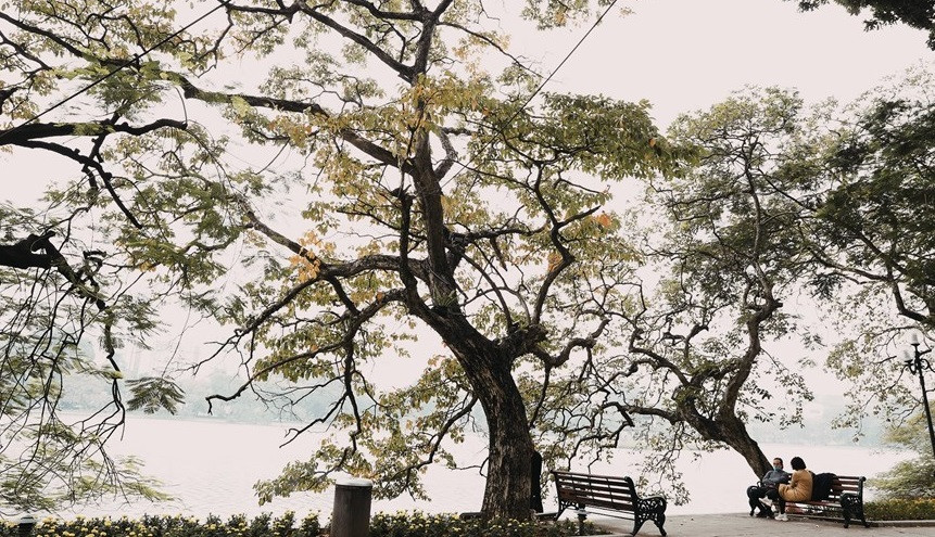 Hanoï apporte sa propre beauté à chaque saison de l'année: printemps, été, automne et hiver. La beauté de Hanoï en hiver est très spéciale avec le froid et le brouillard qui donnent à la capitale vietnamienne une beauté unique. Photo: VietnamPlus