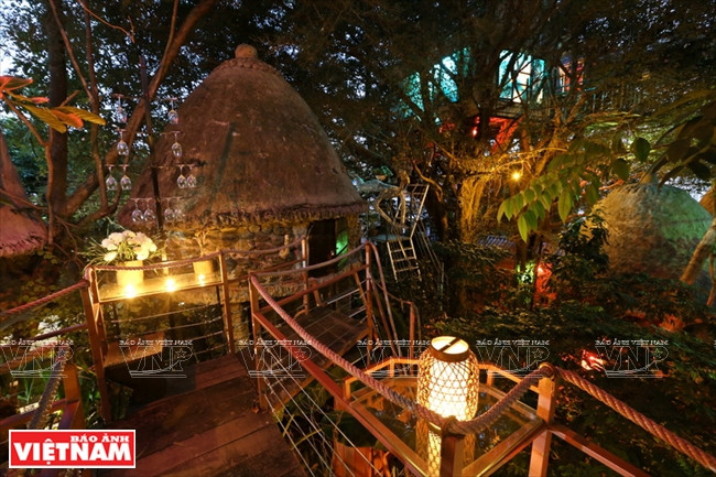 Cosy Tree House la nuit.