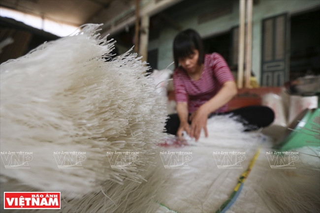 La fabrication de vermicelles de tolomane rapporte de 150 à 200 millions de dongs chaque année aux cultivateurs, nettement plus rentable que la riziculture ou la sériculture