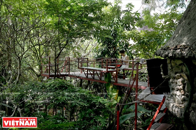 Le système de passerelles reliant les maisons ​perchées permettent un regard unique sur la nature.
