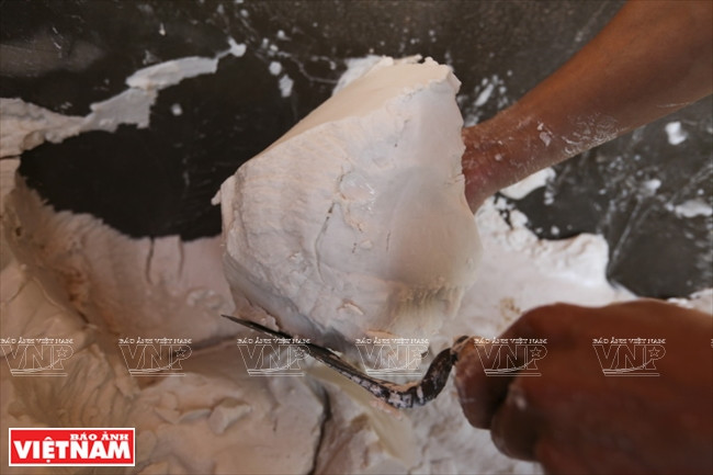 Les tubercules du canna, après avoir été moulus et couverts pendant 4 heures, donnent une tolomane blanche.