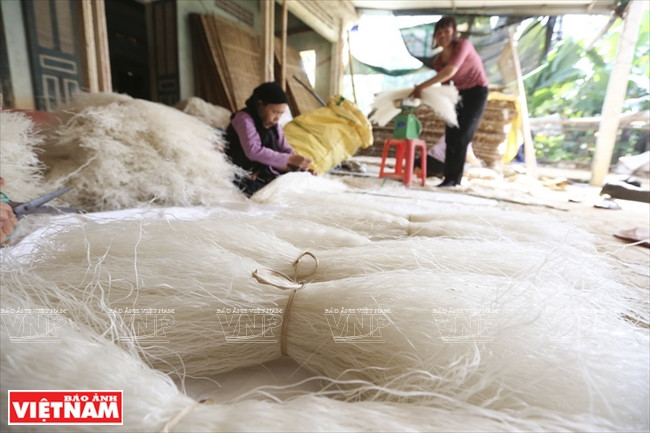 Les ventes connaissent un pic à l’occasion du Têt traditionnel et Minh Hông doit en confectionner chaque jour de 700 à 800 kg pour satisfaire la demande.