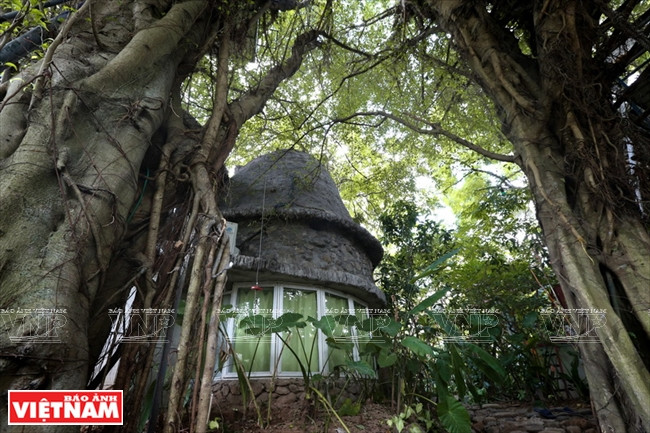 A Cosy Tree House, les visiteurs auront l’impression de se perdre dans une forêt verte mystérieuse.