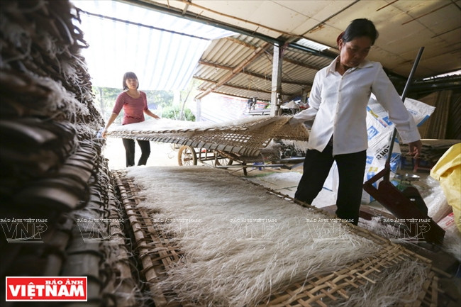Les vermicelles, une fois secs, sont transportés vers des familles