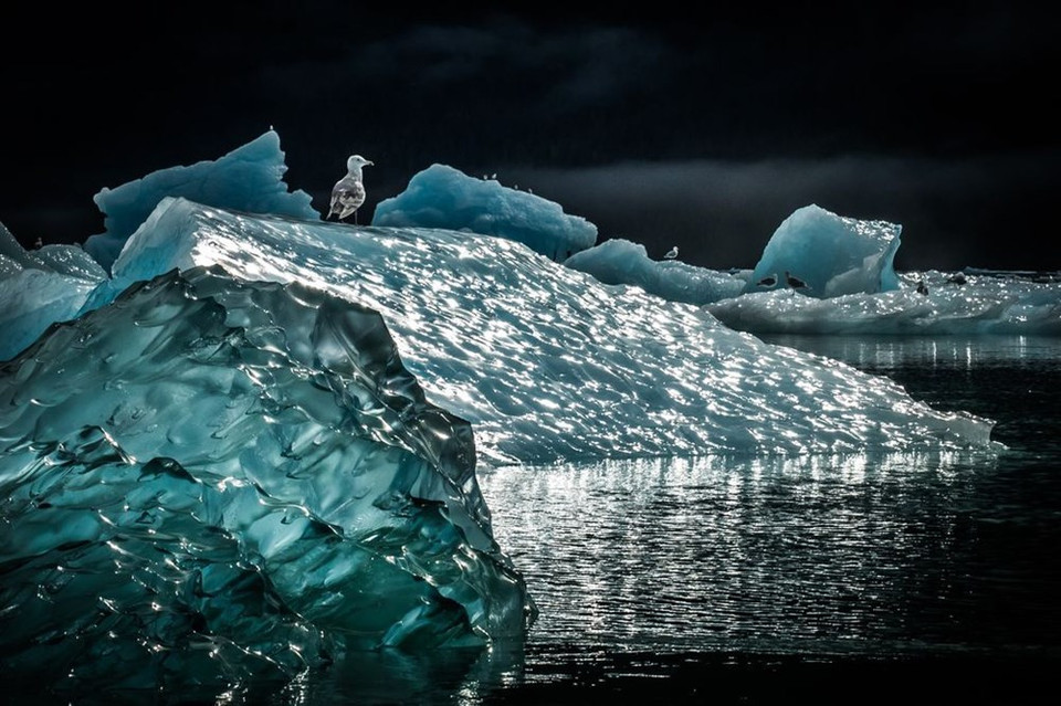 De magnifiques icebergs près de l'Alaska.