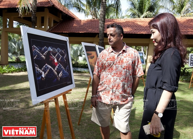 De belles photos exposées lors de l’exposition.