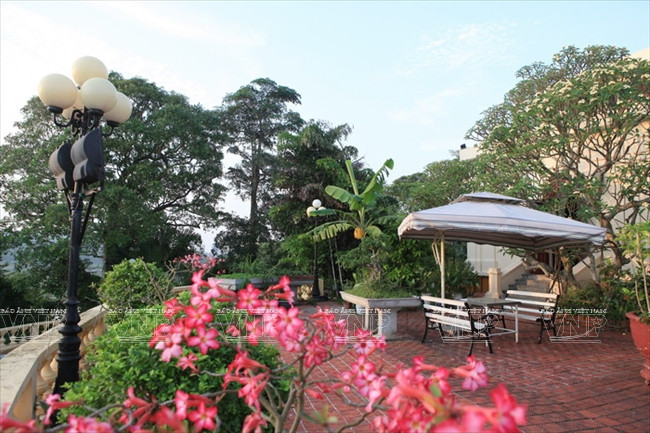 Espace vert au sein de la villa.