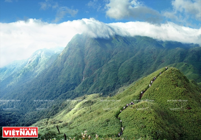 Rejoindre le mont Fancipan à pied en traversant les forêts et montagnes. Photo : VNP