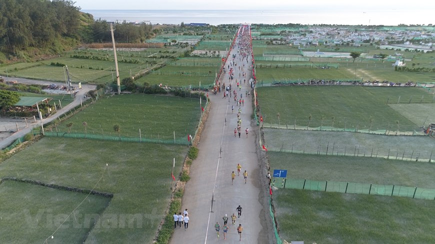 Les athlètes courent entre les champs d'oignon et d'ail, des spécialités agricoles de Ly Son. La renommée de l’ail à une seule gousse de Ly Son est maintenant nationale. Car, il n’est pas seulement condiment, il a aussi de nombreuses vertus médicinales. Grâce aux ails solitaires, la vie des habitants de cette île s’est nettement améliorée. Car chaque année, les agriculteurs n’ont qu’une seule récolte d’une durée d’environ quatre mois. Les ails sont plantés vers octobre et la récolte a lieu à la mi-février de l’année suivante. La cueillette se déroule pendant deux semaines. Puis, les ails sont classifiés, séchés, avant d’être vendus aux commerçants. Sur un champ de 100 m², environ 100 kg d’ail frais récoltés donnent 70 kg d’ail séchés. L’ail est une plante potagère vivace typique et principale sur le district insulaire de Ly Son. Il occupe une grande proportion dans la production de l’agriculture locale. Photo: Vietnam+