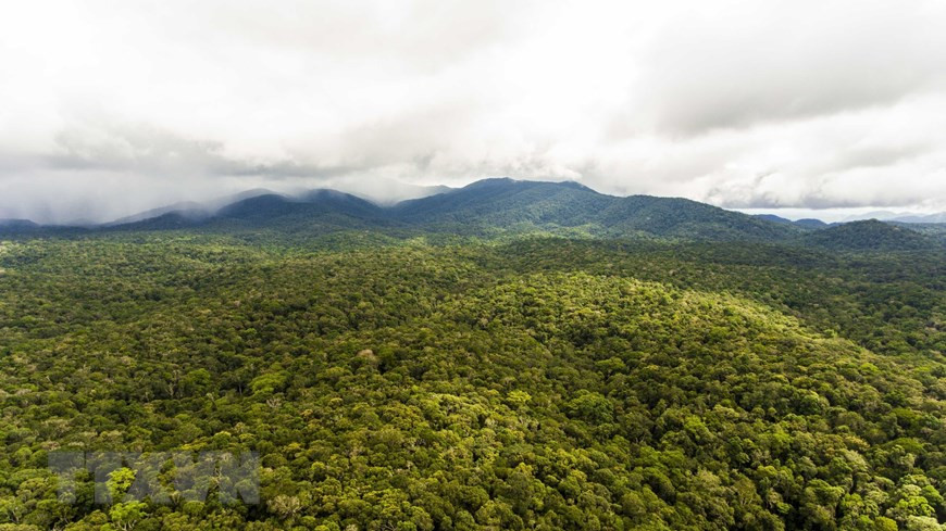La Réserve naturelle de Nam Nung s’étend sur 7 communes de 3 districts de la province de Dak Nong que sont Dak G’long, Dak Song et Krong No. Photo: VNA