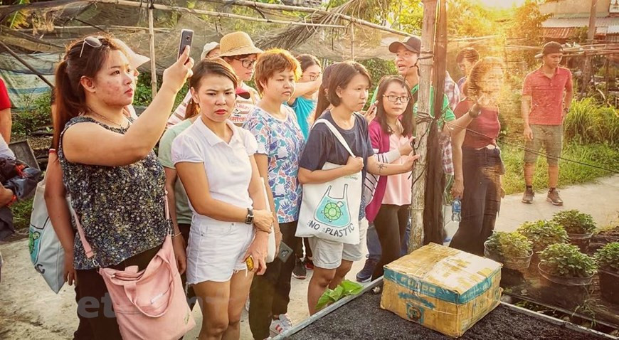  Les touristes visitent le processus de culture des semis. Photo: Vietnam + 