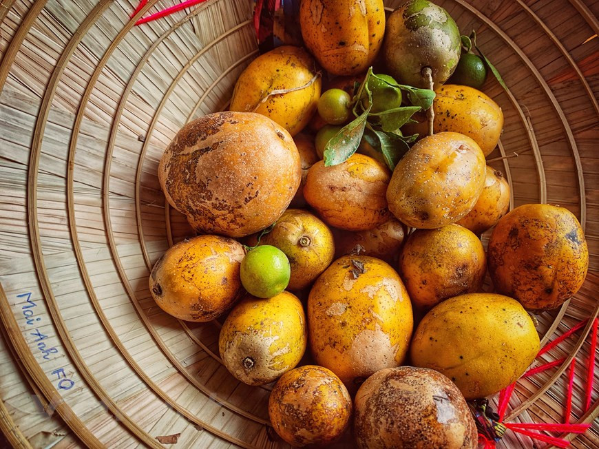  Pour les visiteurs, cueillir des fruits eux-mêmes et les essayer au jardin est une expérience intéressante. Photo: Vietnam + 