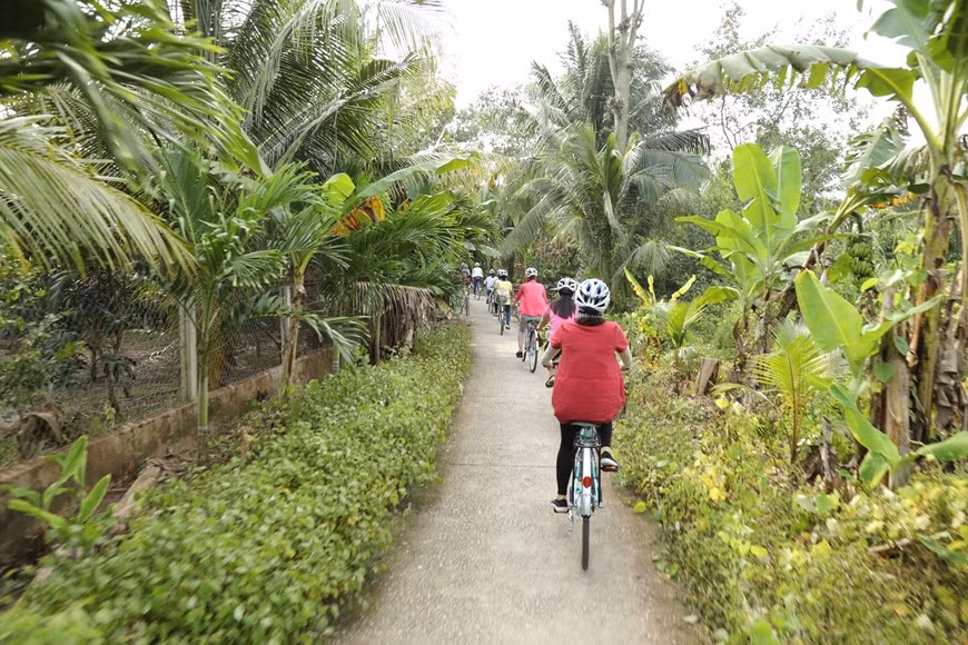 Les visiteurs se promènent dans des routes poétiques ombragées par des arbres. Photo: Vietnam+ 