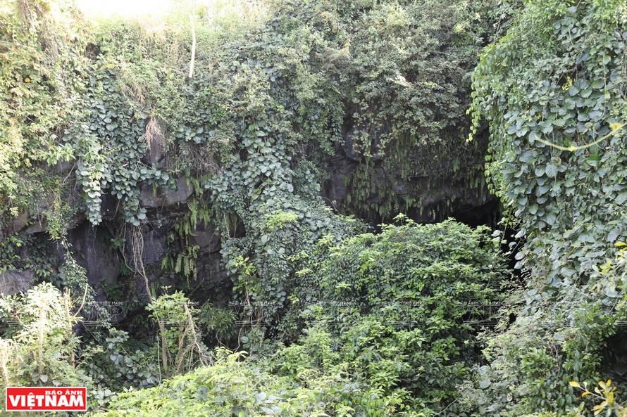 L’entrée de la grotte volcanique C8 relevant du système de grottes volcaniques Chư B'luk. Photo: VNP