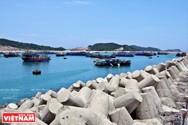 Ici, les visiteurs peuvent découvrir l'exploitation et la transformation des produits aquatiques. Photo : VNP