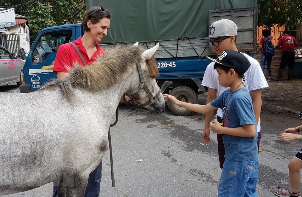  Peut-être c’est la première fois que ce petit garçon voit le cheval réel.