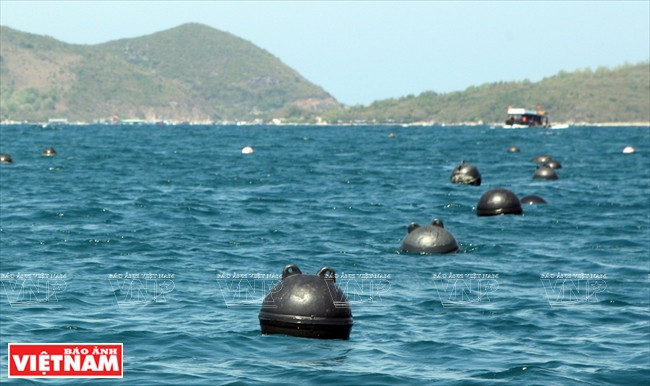 Zone d’élevage d’huîtres perlières de la société Hoàng Gia à Hon Tam, province de Khanh Hoa.