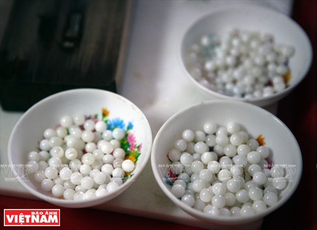 Des nucleus (billes de nacre)