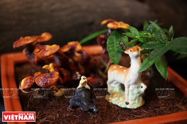 Ces pots de champignons linh chi servent de décoration au bureau ou à domicile, une nouveauté d’Ideal Foods Vietnam.