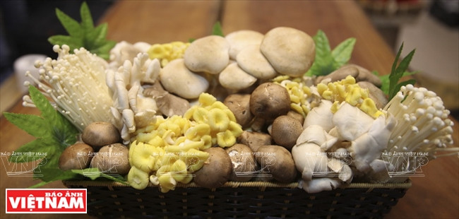 Les champignons Ideal Foods Vietnam frais peuvent être offerts comme cadeau.