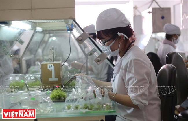 Echantillons mis dans des sacs contenant un milieu nutritif pour les tissus in vitro.