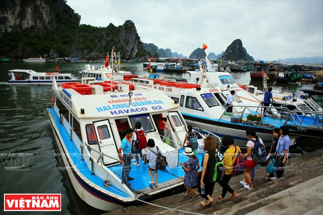 Visiteurs montant dans le bateau pour se rendre sur l'île Cô Tô.