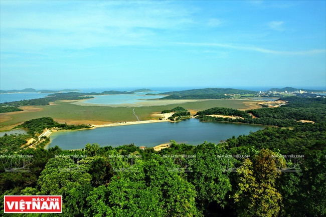 Panorama de Cô Tô vu du sommet du phare.
