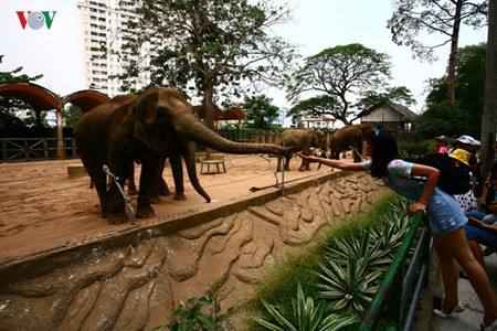 Le Jardin botanique de Ho Chi Minh-Ville fait partie des huit jardins botaniques les plus anciens du monde. Il s’étend sur 17 hectares.