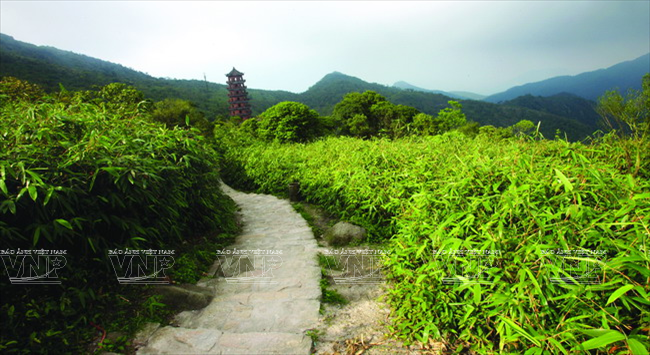 Forêts de bambous d’ivoire le long du sentier. Jadis, le roi bouddhiste Trân Nhân Tông a donné le nom de Truc Lâm, c'est-à-dire « forêt de bambous », à son école.