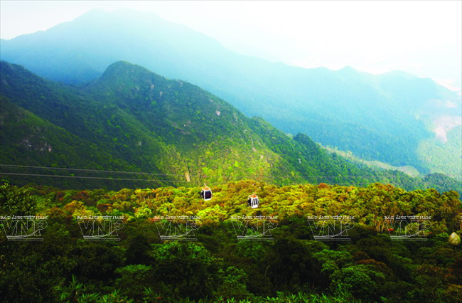 Grâce au téléphérique, les visiteurs peuvent admirer les pentes verdoyantes du Mont Yên Tu et, surtout, ​accéder au sommet sans efforts. 
